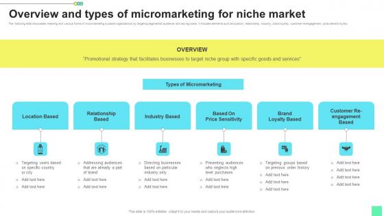Overview Types Micromarketing Introduction To Niche Marketing Audience Segmentation Background Pdf