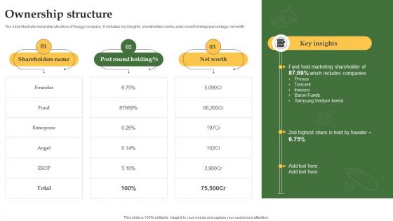 Ownership Structure Grocery Delivery Company Profile CP SS V Ownership Structure Grocery Delivery Company Profile CP SS V