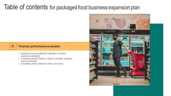 Packaged Food Business Expansion Plan Table Of Contents Microsoft Pdf