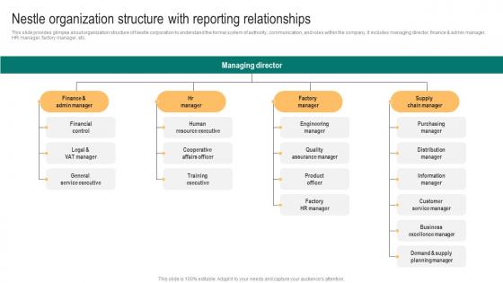 Packaged Food Business Nestle Organization Structure With Reporting Introduction Pdf