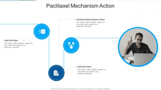 Paclitaxel Mechanism Action In Powerpoint And Google Slides Cpb