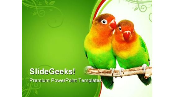 Pair Of Lovebirds Animals PowerPoint Templates And PowerPoint Backgrounds 0611