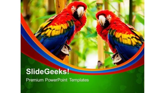 Pair Of Parrot Animals PowerPoint Templates And PowerPoint Themes 0512