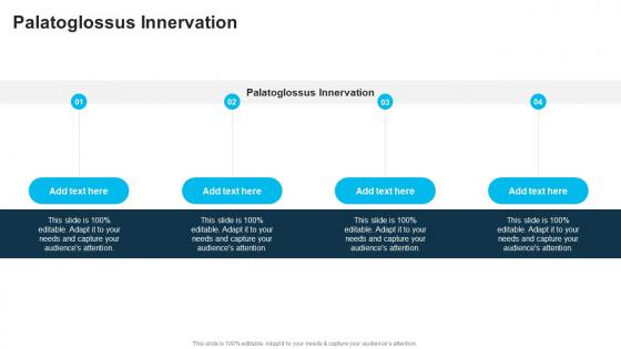 Palatoglossus Innervation In Powerpoint And Google Slides Cpb