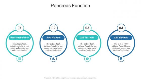 Pancreas Function In Powerpoint And Google Slides Cpb