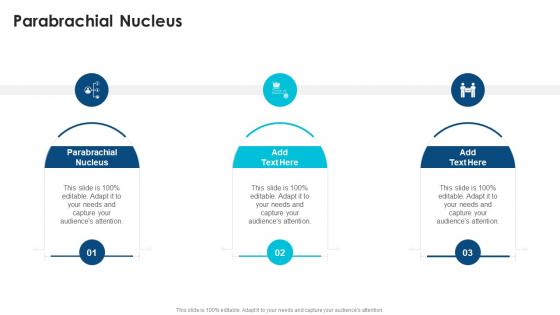 Parabrachial Nucleus In Powerpoint And Google Slides Cpb Parabrachial Nucleus In Powerpoint And Google Slides Cpb
