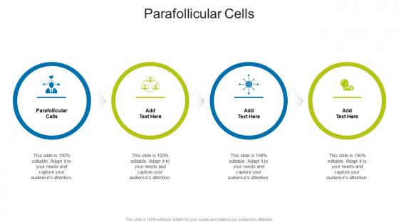 Parafollicular Cells In Powerpoint And Google Slides Cpb