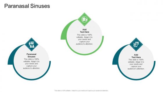 Paranasal Sinuses In Powerpoint And Google Slides Cpb