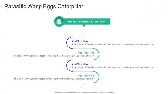 Parasitic Wasp Eggs Caterpillar In Powerpoint And Google Slides Cpb