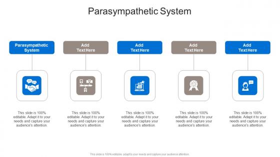 Parasympathetic System In Powerpoint And Google Slides Cpb