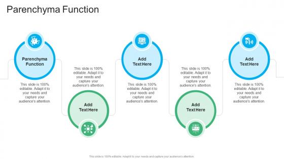 Parenchyma Function In Powerpoint And Google Slides Cpb