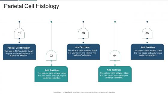 Parietal Cell Histology In Powerpoint And Google Slides Cpb