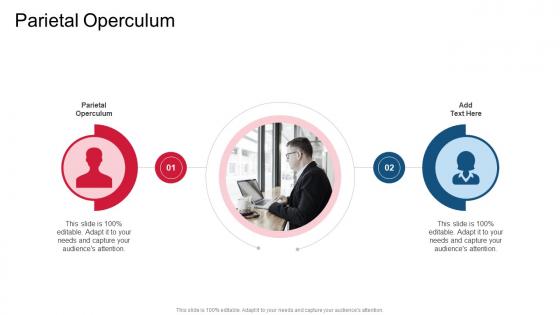 Parietal Operculum In Powerpoint And Google Slides Cpb