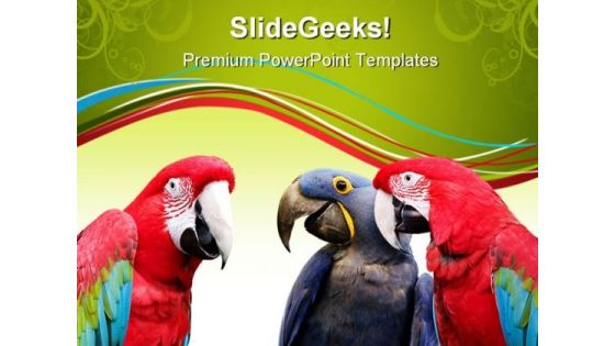 Parrot Meeting Animals PowerPoint Templates And PowerPoint Backgrounds 0611