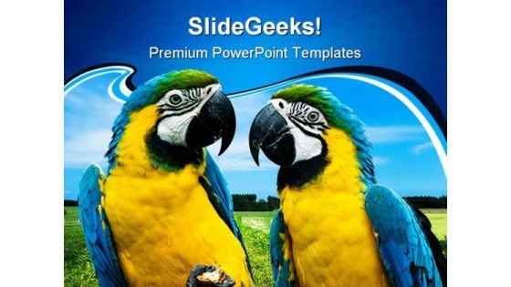 Parrots In Love Beauty PowerPoint Themes And PowerPoint Slides 0211