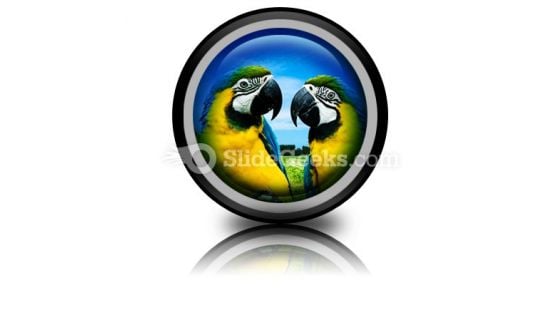 Parrots In Love PowerPoint Icon Cc