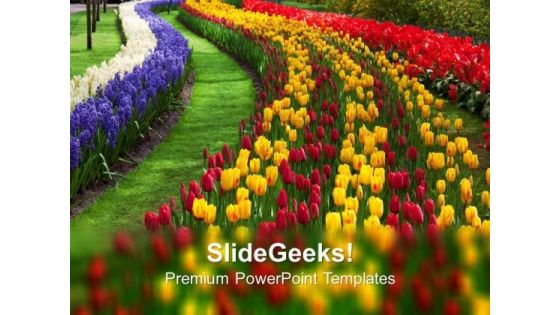 Path To Garden Nature PowerPoint Templates Ppt Backgrounds For Slides 0213 Path To Garden Nature PowerPoint Templates Ppt Backgrounds For Slides 0213