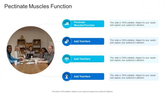 Pectinate Muscles Function In Powerpoint And Google Slides Cpb