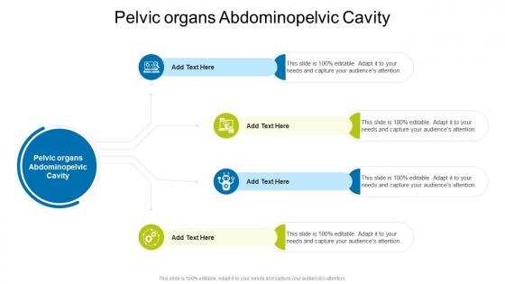 Pelvic Organs Abdominopelvic Cavity In Powerpoint And Google Slides Cpb