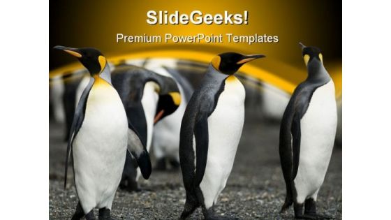 Penguin Animal PowerPoint Template 0810