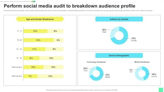 Perform Social Media Audit Introduction To Niche Marketing Audience Segmentation Demonstration Pdf