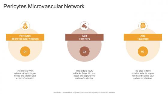 Pericytes Microvascular Network In Powerpoint And Google Slides Cpb