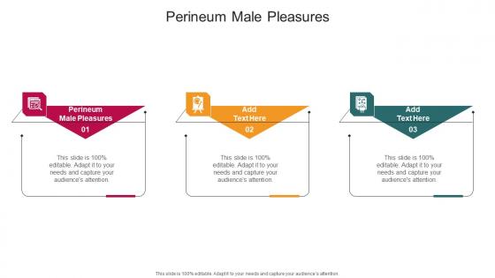 Perineum Male Pleasures In Powerpoint And Google Slides Cpb