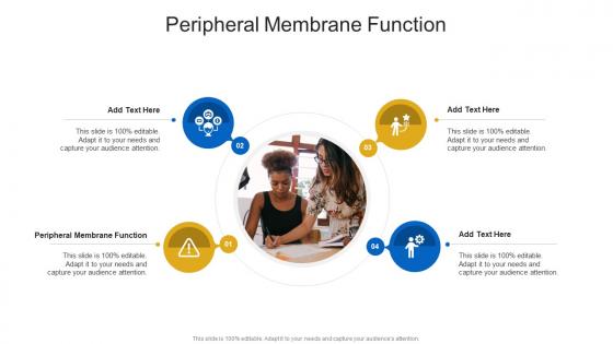 Peripheral Membrane Function In Powerpoint And Google Slides Cpb