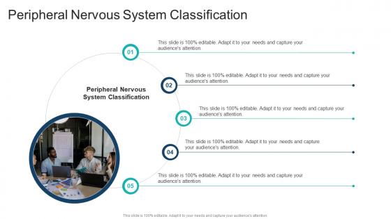 Peripheral Nervous System Classification In Powerpoint And Google Slides Cpb