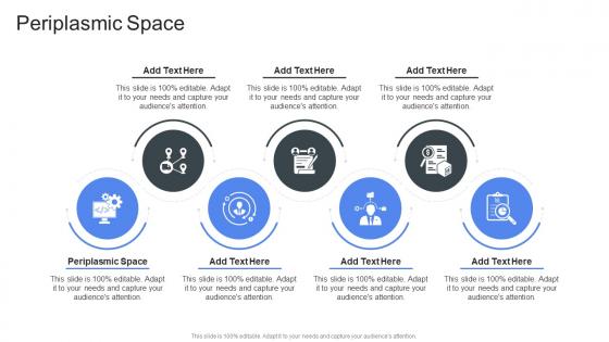 Periplasmic Space In Powerpoint And Google Slides Cpb