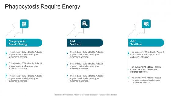 Phagocytosis Require Energy In Powerpoint And Google Slides Cpb