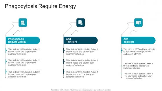 Phagocytosis Require Energy In Powerpoint And Google Slides Cpb