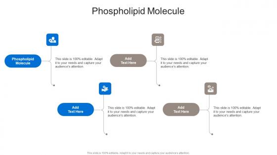 Phospholipid Molecule In Powerpoint And Google Slides Cpb