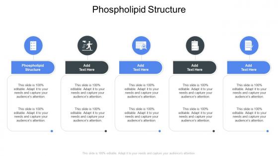 Phospholipid Structure In Powerpoint And Google Slides Cpb