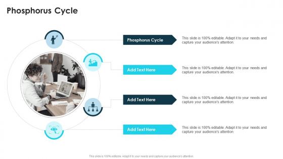Phosphorus Cycle In Powerpoint And Google Slides Cpb Phosphorus Cycle In Powerpoint And Google Slides Cpb