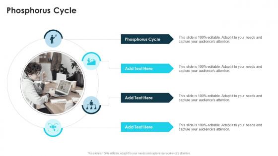 Phosphorus Cycle In Powerpoint And Google Slides Cpb