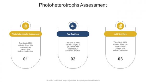 Photoheterotrophs Assessment In Powerpoint And Google Slides Cpb