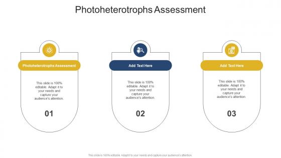 Photoheterotrophs Assessment In Powerpoint And Google Slides Cpb Photoheterotrophs Assessment In Powerpoint And Google Slides Cpb