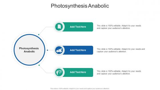 Photosynthesis Anabolic In Powerpoint And Google Slides Cpb