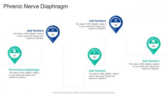 Phrenic Nerve Diaphragm In Powerpoint And Google Slides Cpb