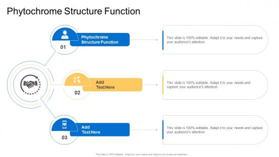 Phytochrome Structure Function In Powerpoint And Google Slides Cpb