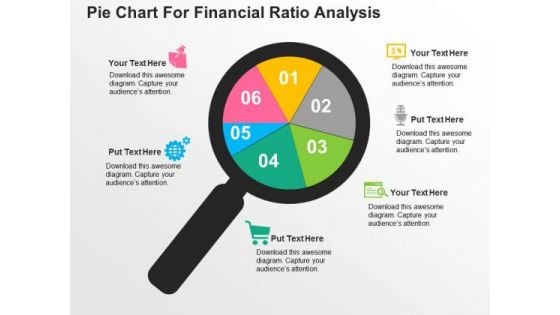 Pie Chart For Financial Ratio Analysis PowerPoint Template