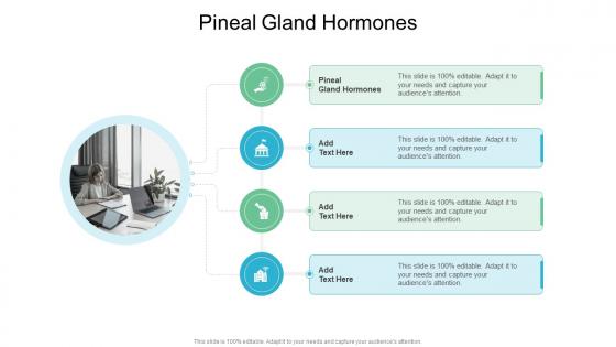 Pineal Gland Hormones In Powerpoint And Google Slides Cpb