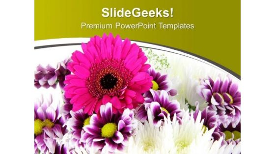 Pink Daisy Flower With Green Background PowerPoint Templates Ppt Backgrounds For Slides 0613 Pink Daisy Flower With Green Background PowerPoint Templates Ppt Backgrounds For Slides 0613