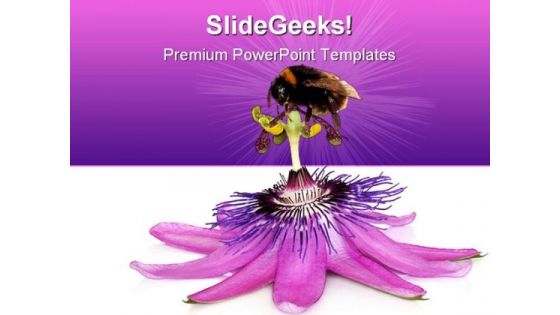 Pink Flower And Bumblebee Nature PowerPoint Templates And PowerPoint Backgrounds 0611