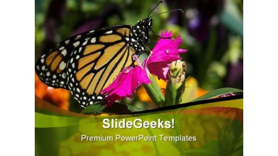 Pink Flower And Butterfly Beauty PowerPoint Themes And PowerPoint Slides 0211