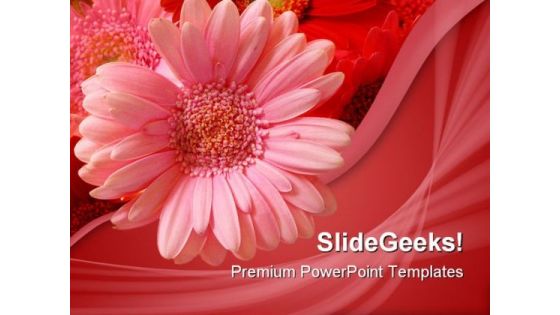 Pink Flower Beauty PowerPoint Template 1110