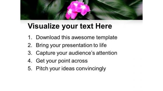 Pink Flower Nature Beauty PowerPoint Templates Ppt Backgrounds For Slides 0513