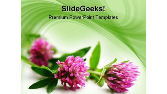 Pink Flowers Beauty PowerPoint Template 1110