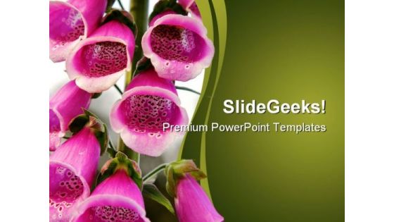 Pink Fox Glove Flower Beauty PowerPoint Templates And PowerPoint Backgrounds 0211